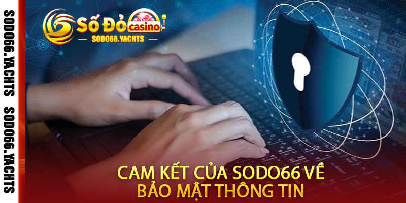 Chính Sách Bảo Mật